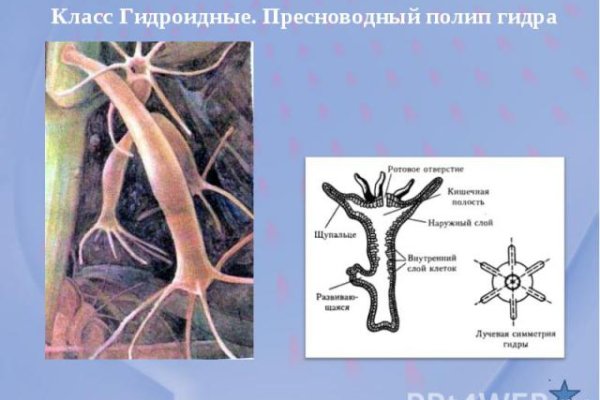 Ссылка кракен даркнет маркет