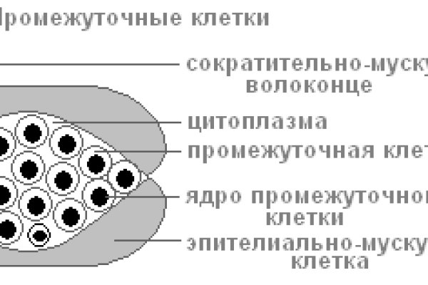 Кракен ссылка на тор официальная онион