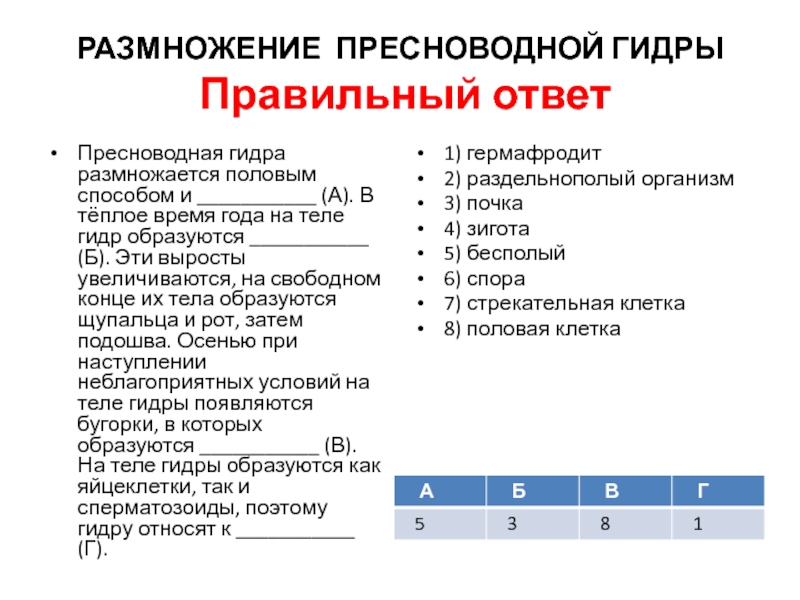 Кракен почему пользователь не найден